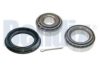 BENDIX 051091B Wheel Bearing Kit